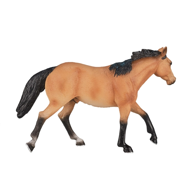 A QUARTER HORSE fajta élethű megjelenítése