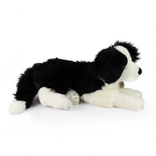 Plush Border Collie 45 cm Eco-Friendly