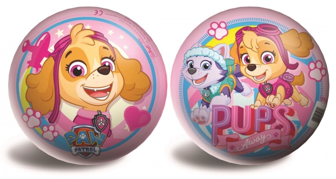 Pink Paw Patrol Ball