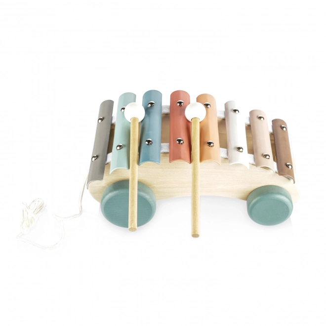 Wooden Pull-Along Xylophone for Kids