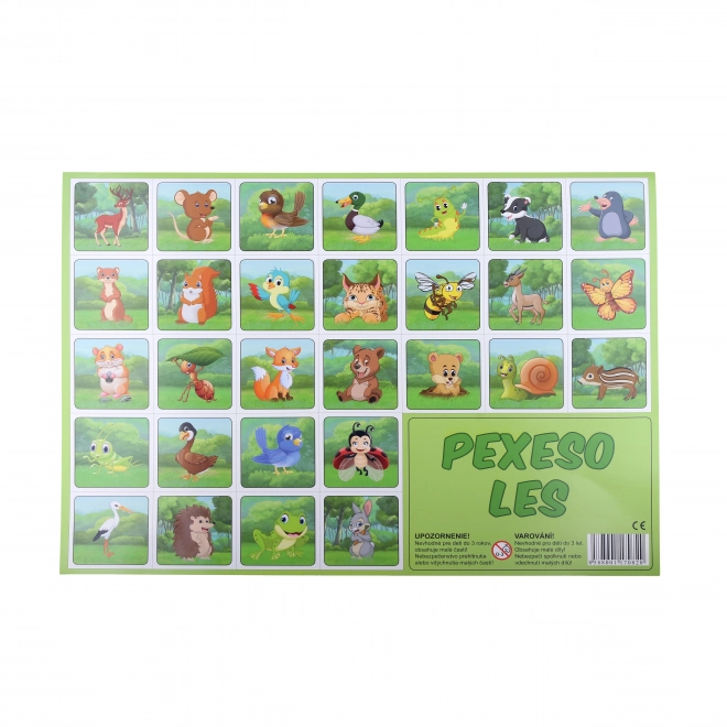 Illustrated Memory Game for Kids