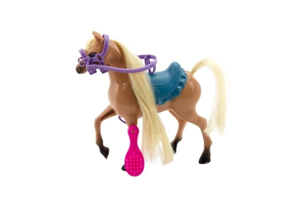 Grooming Horse Toy with Accessories