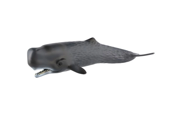 Sperm Whale Figurine 24cm in Bag