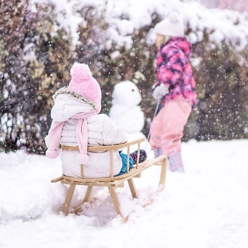 Wooden Sledge with Backrest