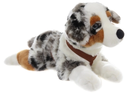 Plush Australian Shepherd Toy