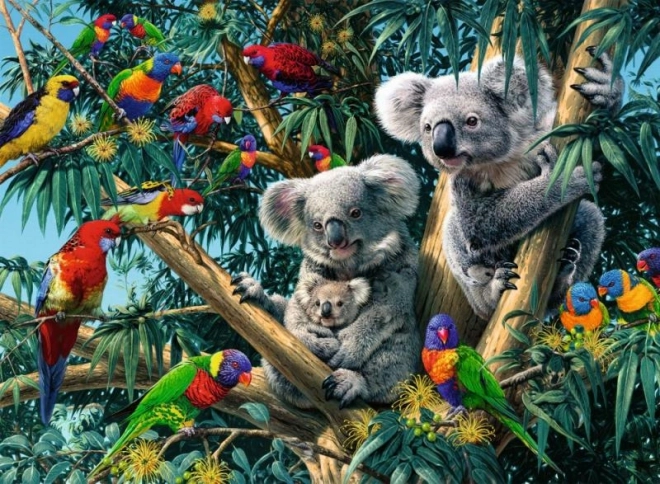 Puzzle Koaly sull'Albero 500 Pezzi