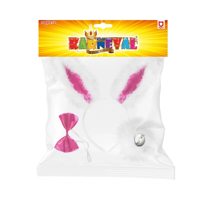 Bunny Ears and Bow Tie Costume Set