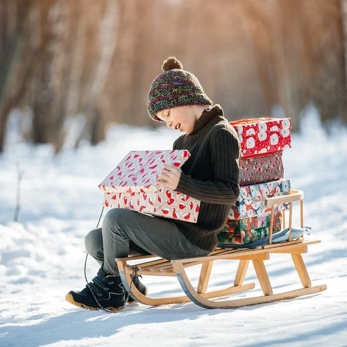 Wooden Sledge with Backrest