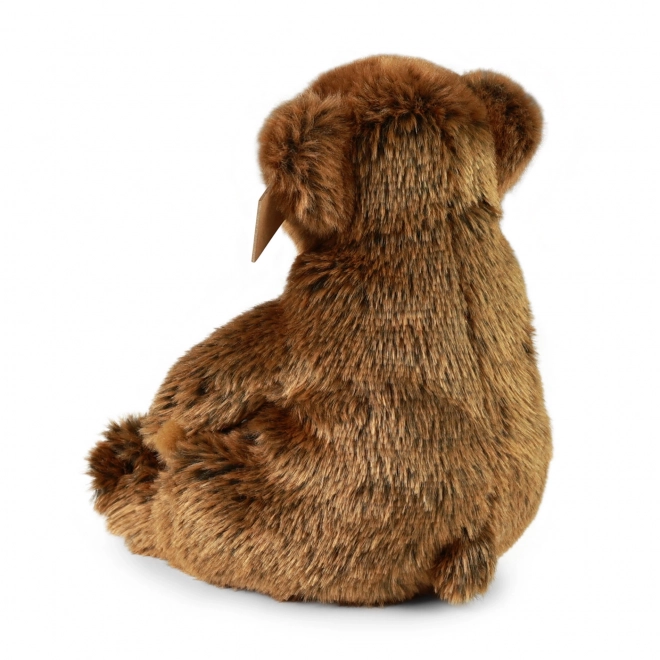 Eco-Friendly Plush Brown Bear 24 cm