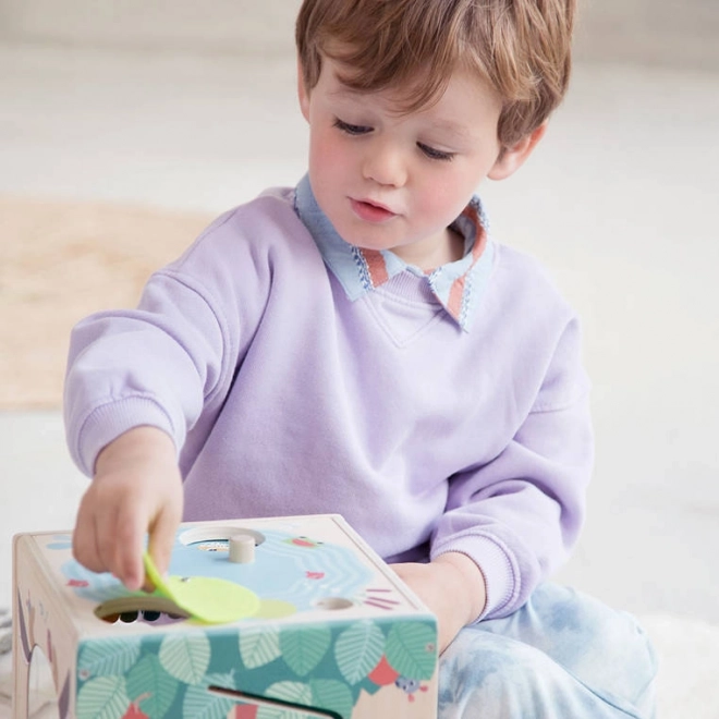 Activity Cube with Paulette the Hen