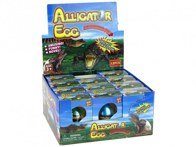 Growing Alligator Egg Toy