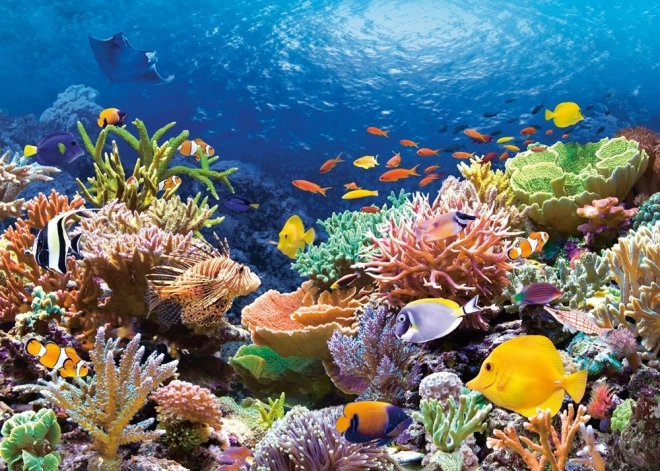 Coral Reef 1000 Piece Puzzle