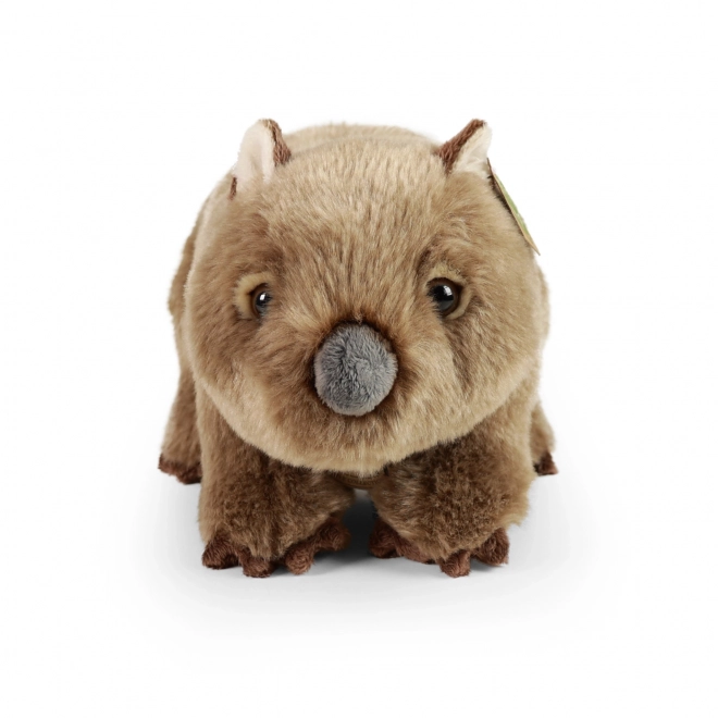 Eco-Friendly Plush Wombat 28cm