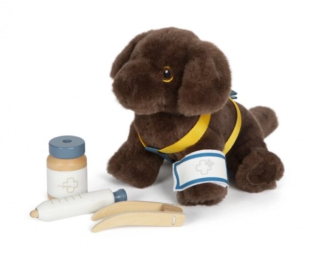 Plush Dog with Care Set