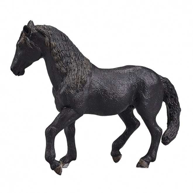 Mojo Andalusian Horse Black