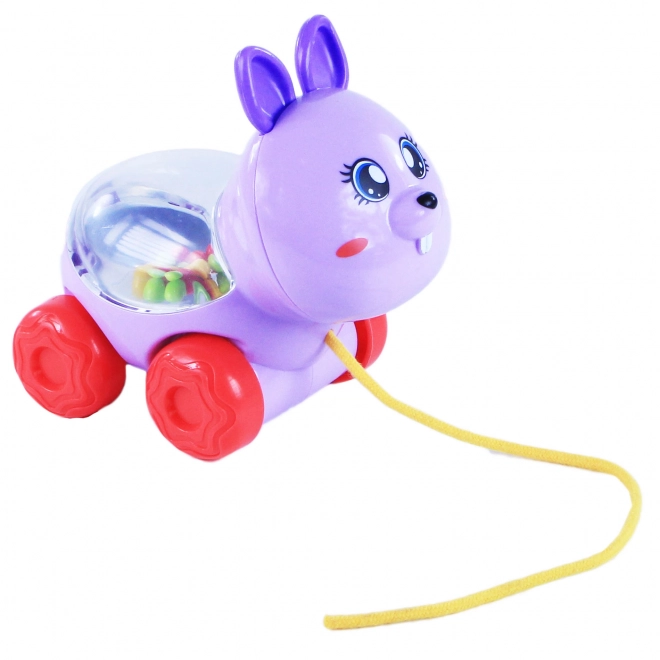 Pull-Along Rabbit Toy