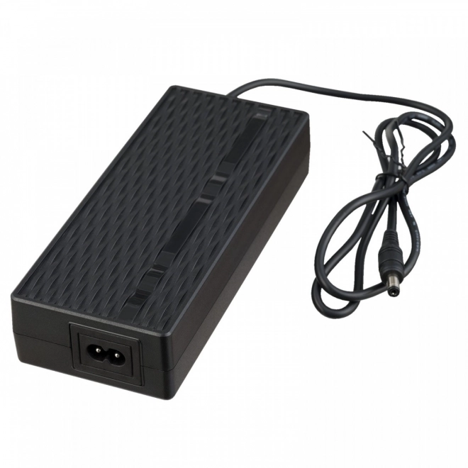Electric Vehicle Charger 42V 84W