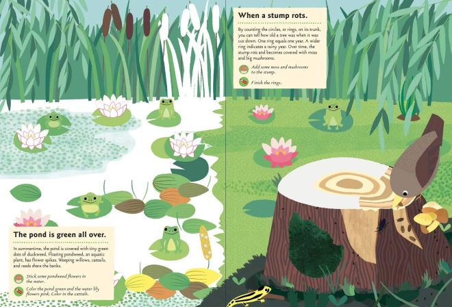 Nature Activity Sticker Book - In the Forest