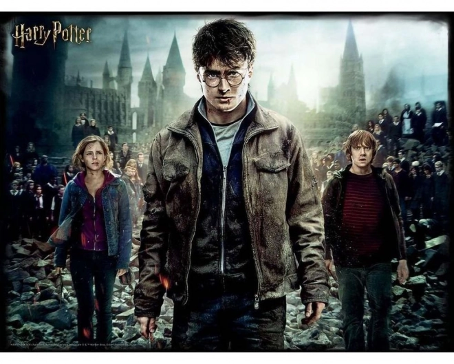 Prime 3D Puzzle Harry Potter Characters 3D XL 300 Pieces