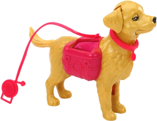 Dog on a leash for pretend walks