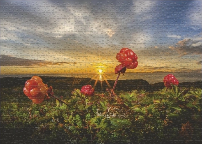 Heye Blackberry Cloudberry Puzzle 1000 Pieces