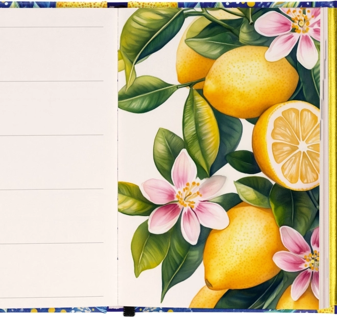 Weekly Magnetic Diary Lemons 2026