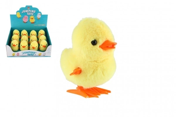 Wind-Up Duck Toy Set