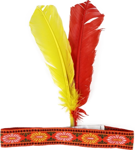 Indian Headdress with Feathers