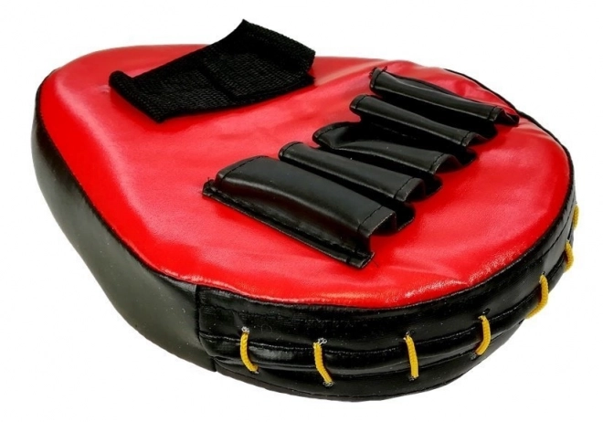 Children's boxing set with gloves and protectors