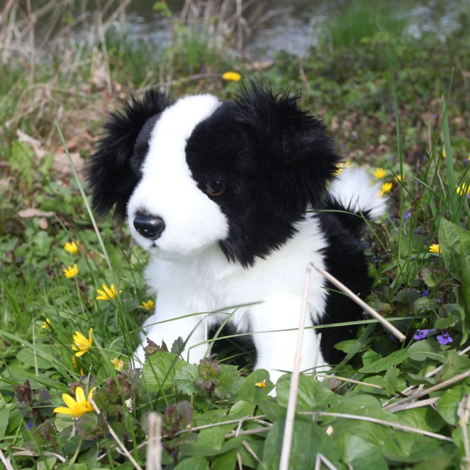 Plush Border Collie Dog 30 cm