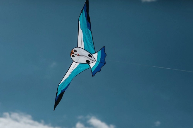 Kite Seagull 180