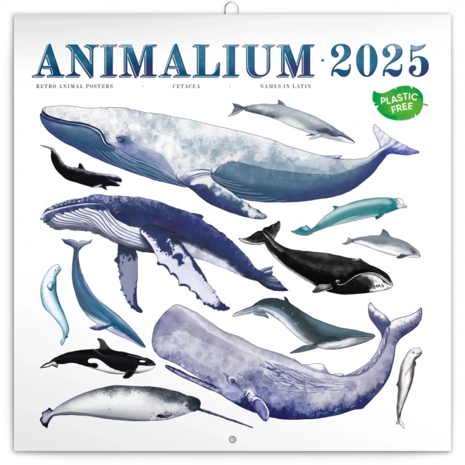 Animalium Calendar 2025