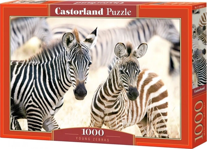 Young Zebras Jigsaw Puzzle