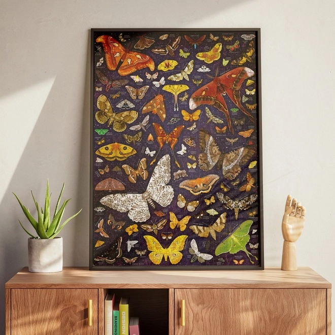 Puzzlove Puzzle Set: Moths 1000 Pieces