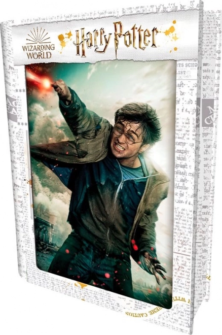 3D Puzzle Harry Potter: Harry