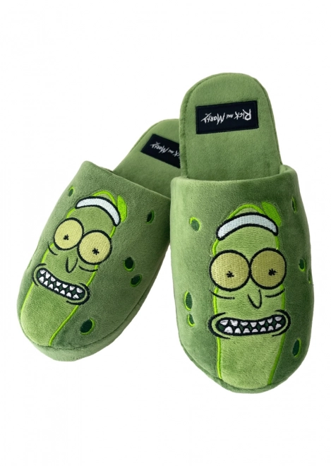 Rick and Morty Slippers