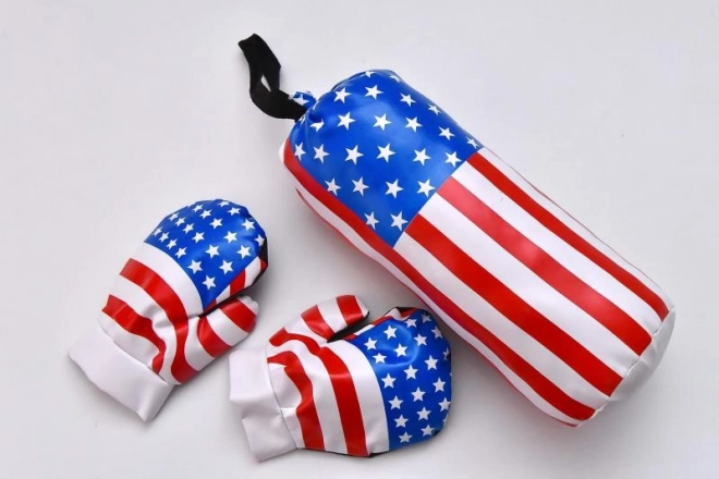 Punching Bag and Gloves
