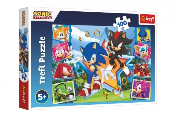 Sonic 100 Piece Puzzle