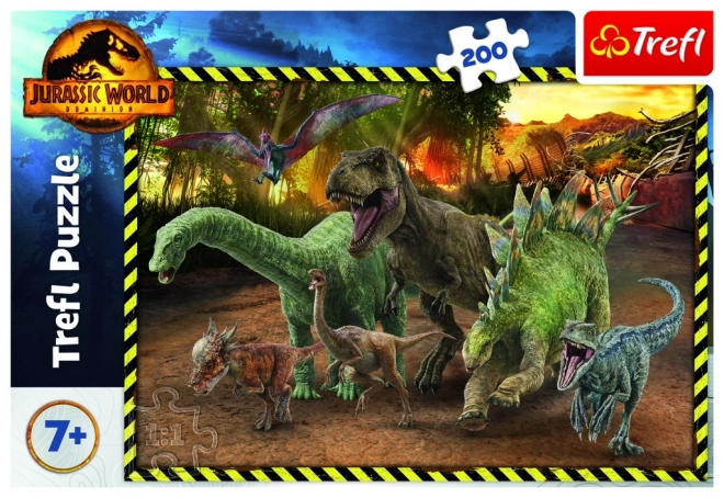 Dinosaur Puzzle from Jurassic Park