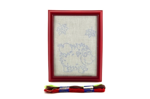 Embroidery Kit with Frame