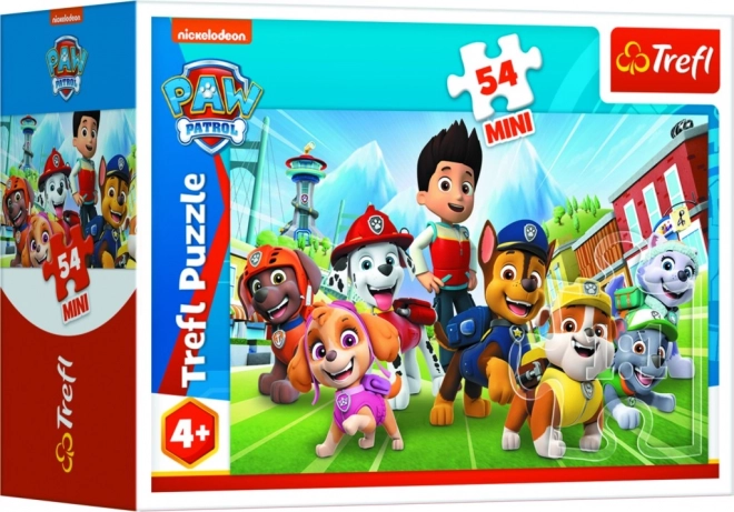 Paw Patrol Mini Puzzle Box