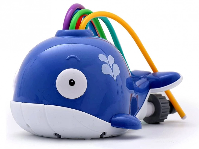 Colorful Whale Water Sprinkler Toy