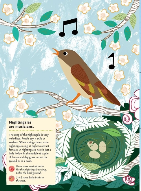 My Nature: Birds of the World Activity Book with Stickers