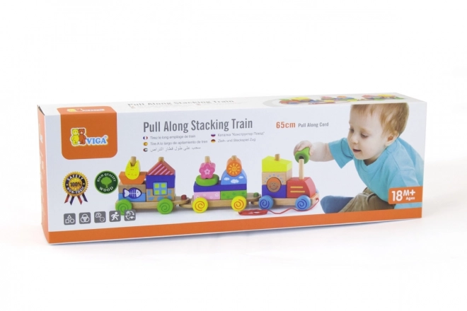 Wooden Train Pull Toy and Puzzle