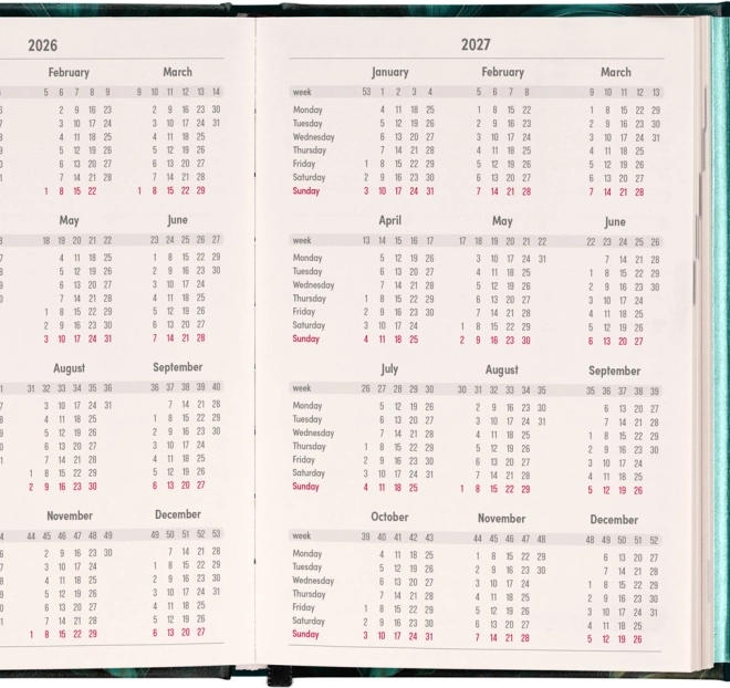 Agenda settimanale magnetica Monstera 2026, 11 x 16 cm