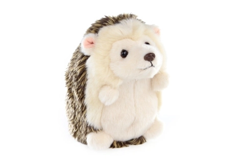 Plush Hedgehog Toy