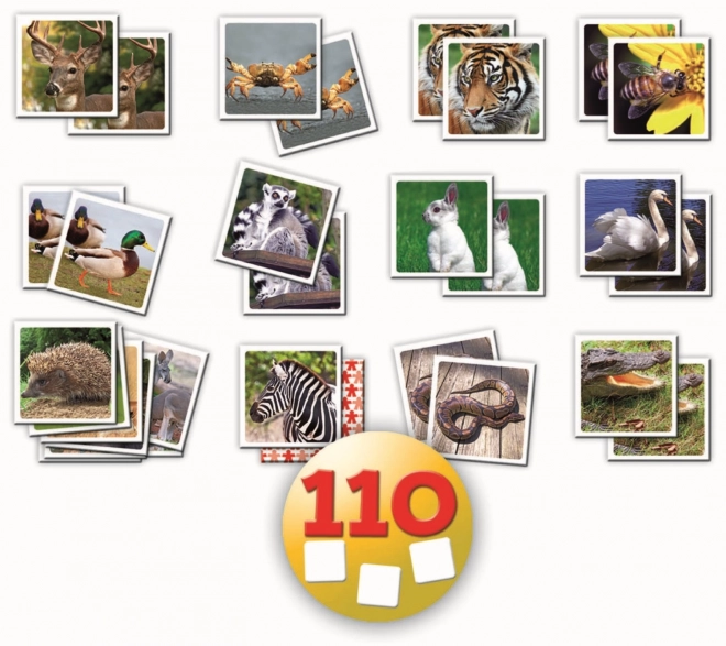 Animal Memory Card Game