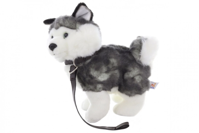 Stuffed Husky with Leash