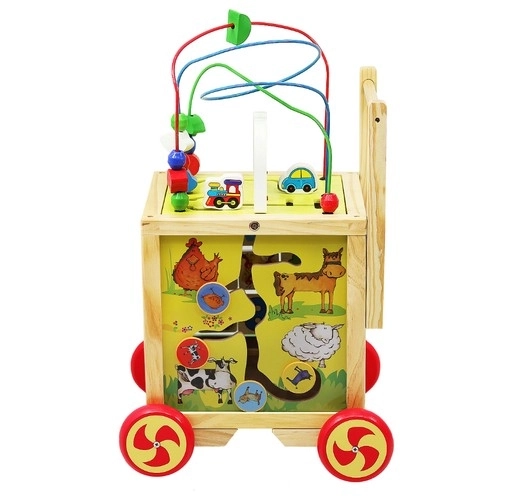 Wooden Push Walker and Educational Cube for Kids