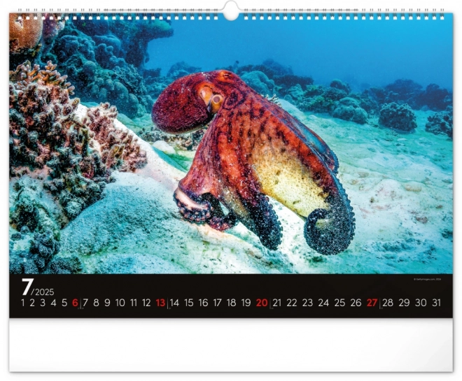 Wall Calendar Ocean 2025